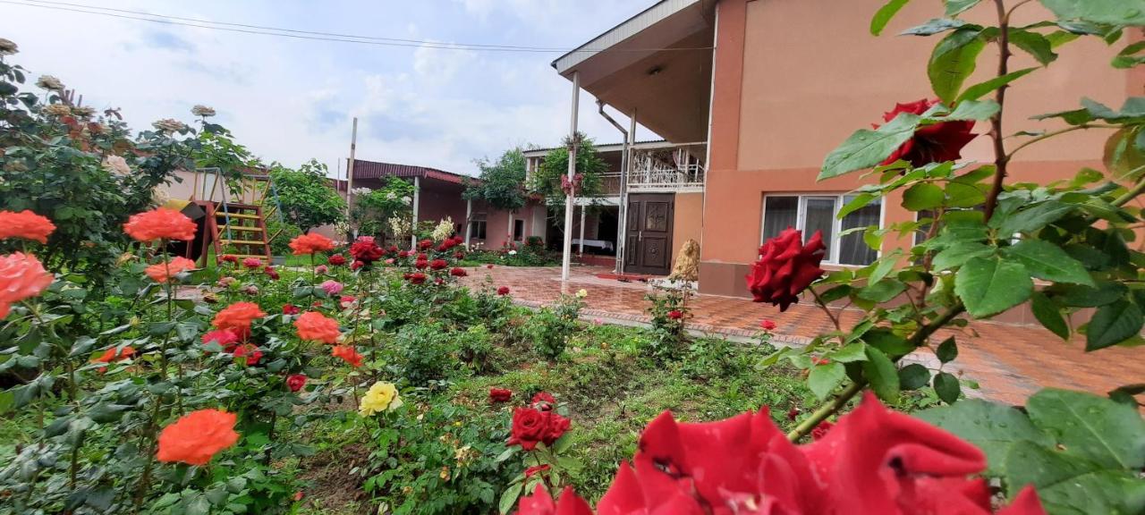 Vip Hostel Туркестан Экстерьер фото